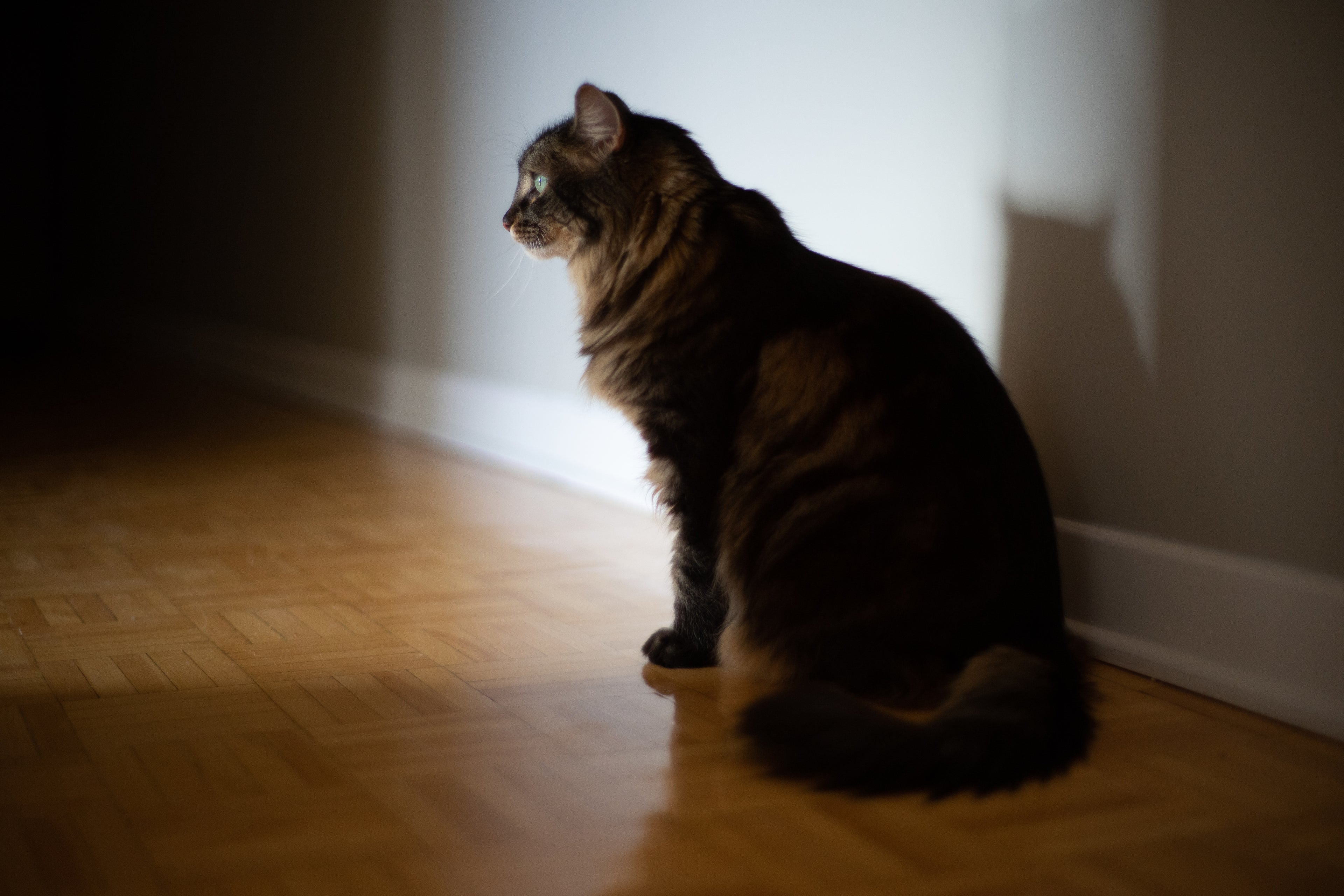 slider image 1621243260e1af0c20-0